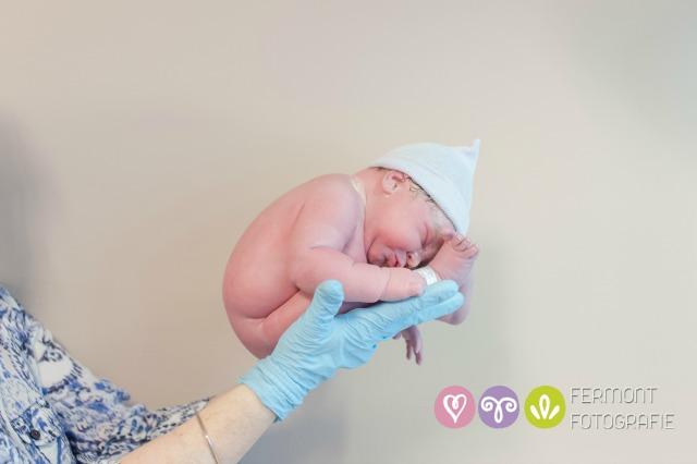 Proiect Foto Care Reproduce Modul In Care Sta Bebelusul In Corpul