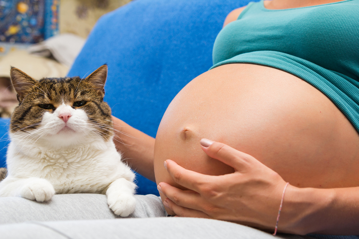 Toxoplasmoza la gravide, risc major pentru bebeluș. Cum se previne, ce simptome are