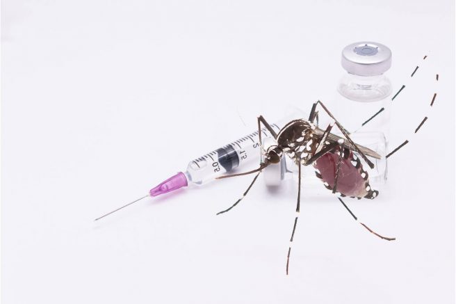 virus periculos