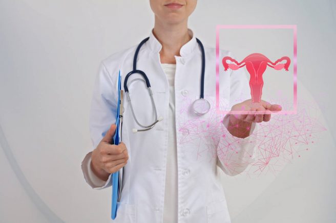 medic arata sistem reproducator feminin