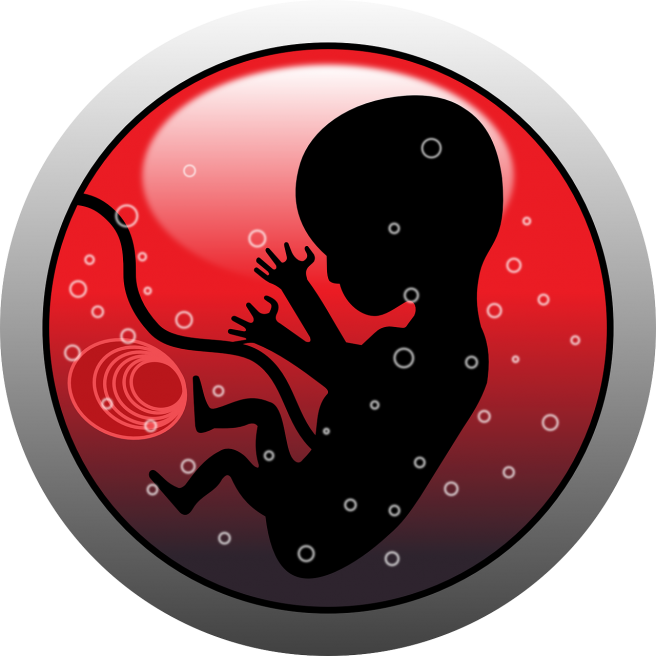 Copil în uter