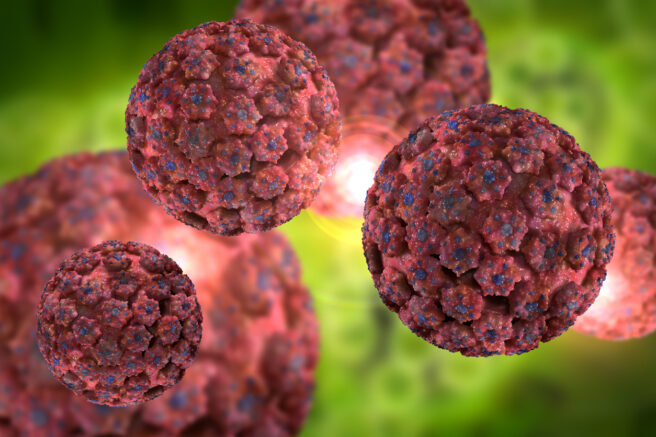 Imagine pe calculator cu virusul HPV